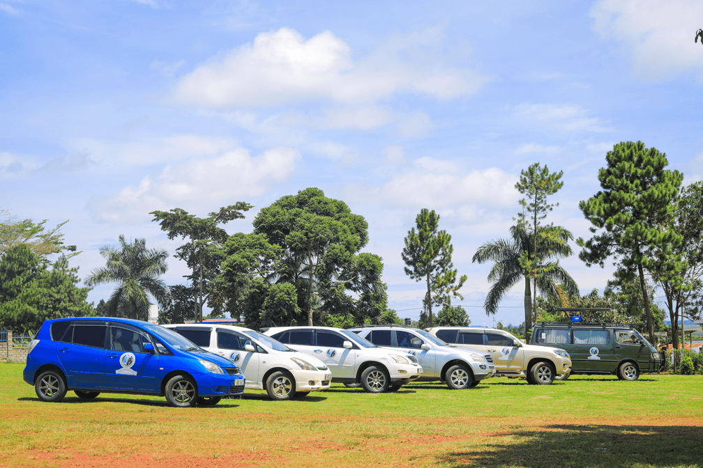 Fleet of Cars