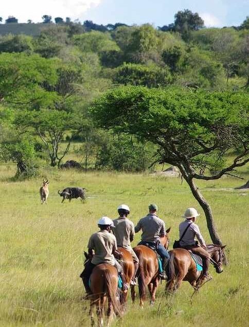 Top Activities You Shouldn’t Miss on Your Visit to Uganda.